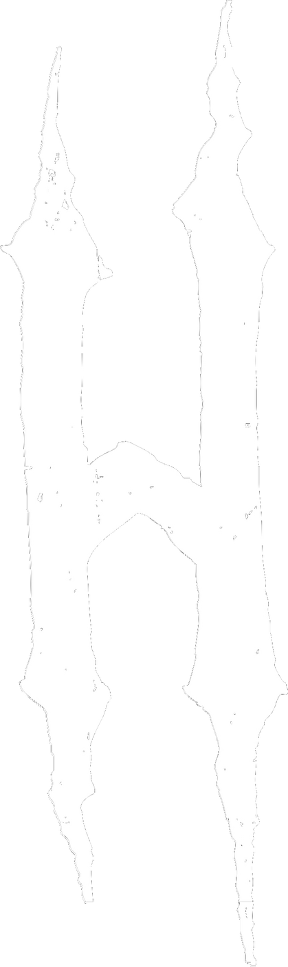 HONESTGANG Logo Canadian brand HONESTGANG official logo